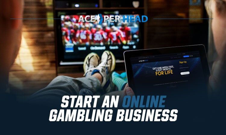 Launching Your Own Sports Betting Venture